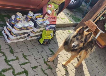 Psí senioři v nouzi, z.s.